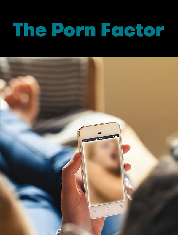The Porn Factor Full Image